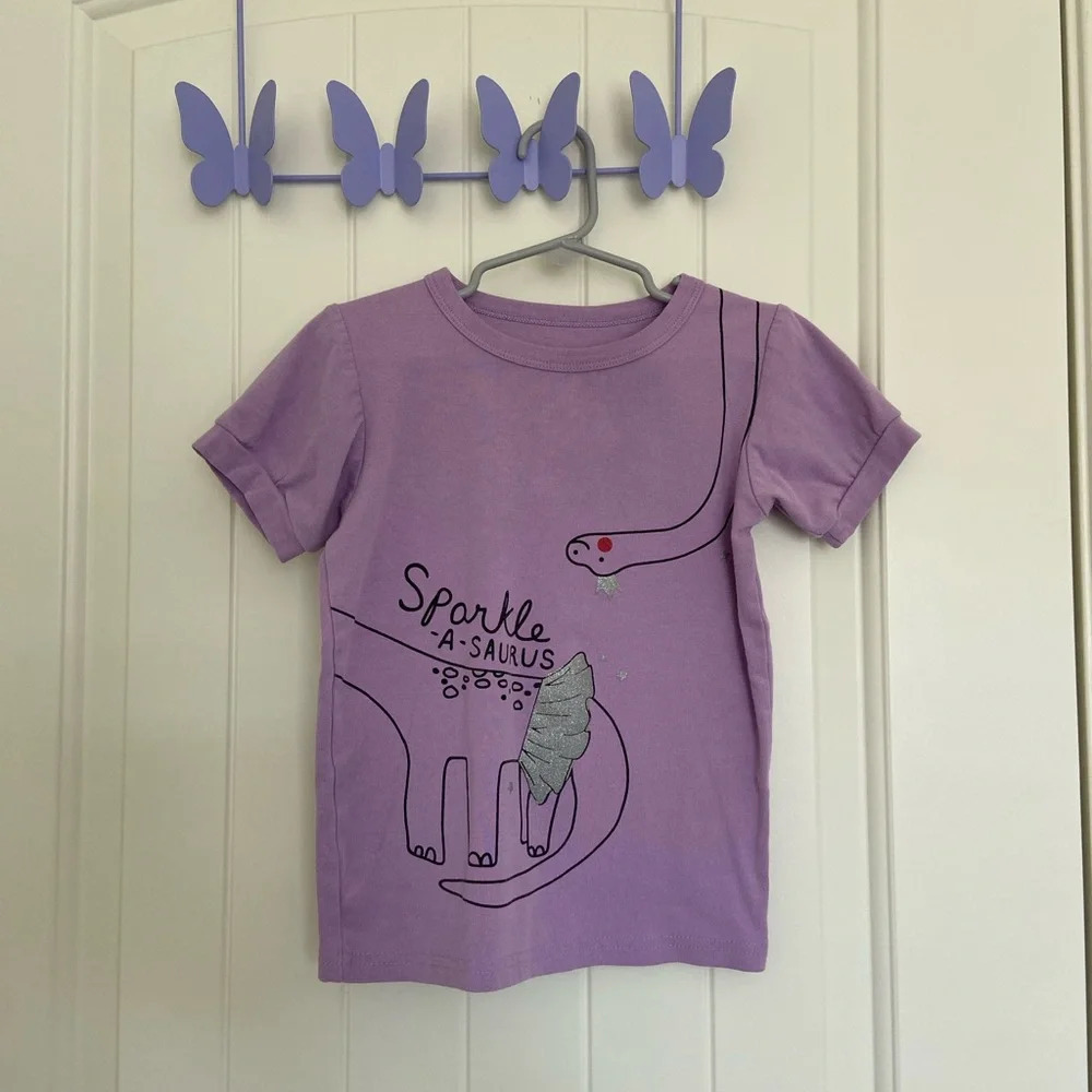 Toddler girl’s Dino decal tshirt — 4T